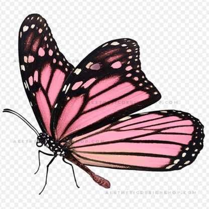 aesthetic-pink-butterfly-by-Lu-Amaral-Studio-11