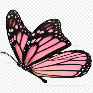 aesthetic-pink-butterfly-by-Lu-Amaral-Studio-9