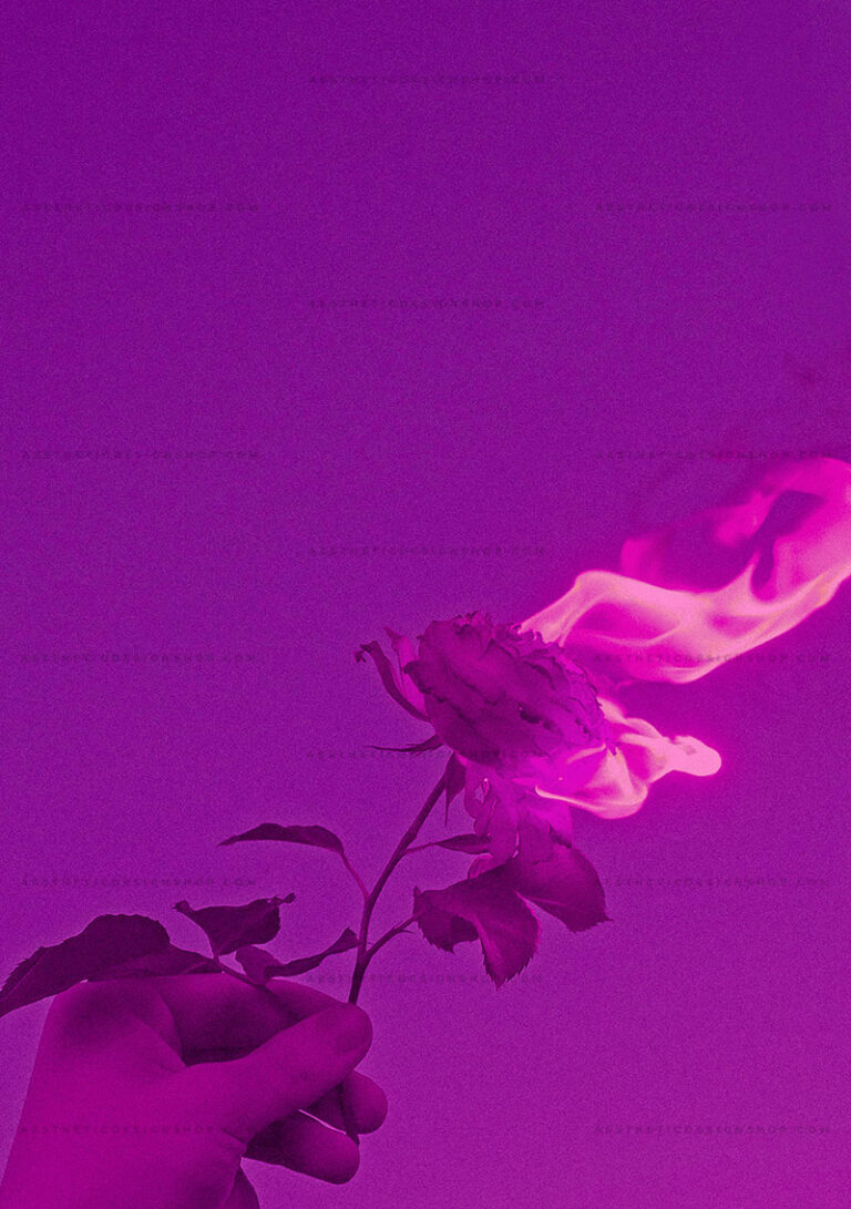 Rose on fire baddie aesthetic image for wall collage and creative ...